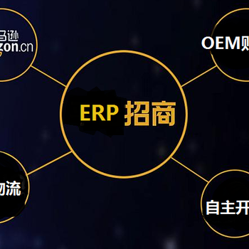 跨境电商ERP系统的OEM贴牌定制与服务器独立部署